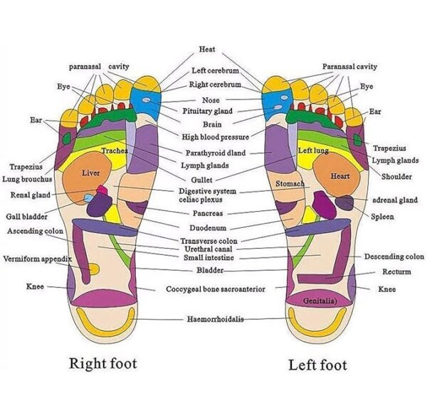 Acupressure Massage Slippers – Foot Reflexology for Blood Circulation (Black) - Image 4